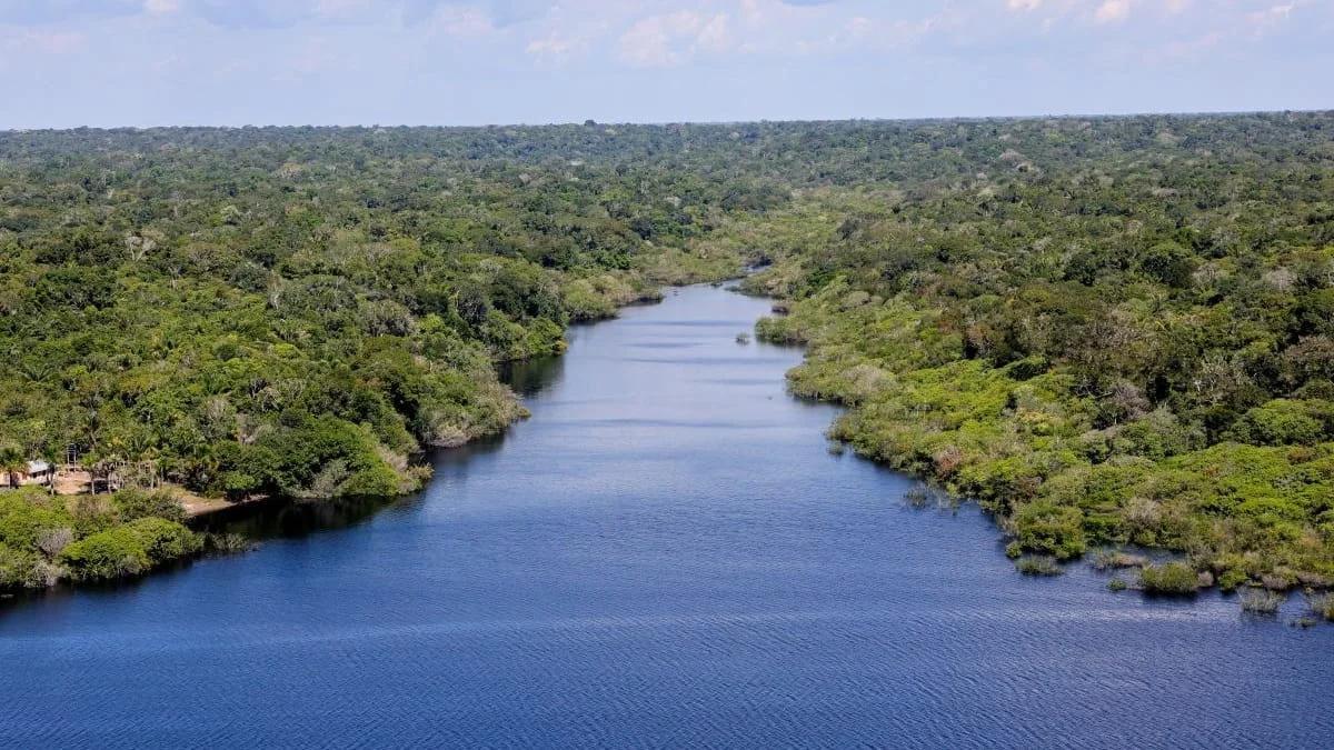 Holanda investe R$ 2,7 bilhões em fundo brasileiro para proteção de florestas tropicais